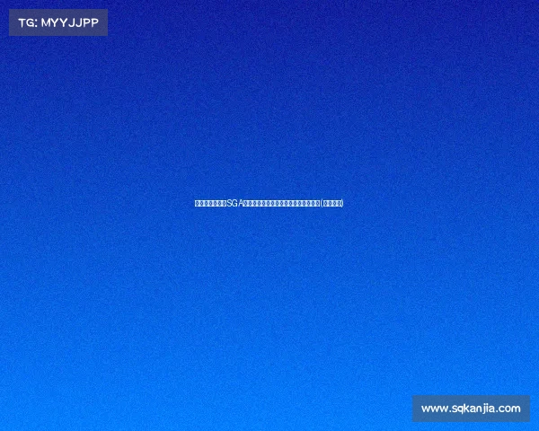 斯蒂芬的穷人版SGA：从零开始打造属于自己的梦想与机会(斯蒂芬斯)